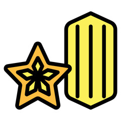 Star colour icon symbol vector image. Illustration of rating quality and review winner customer graphic design image