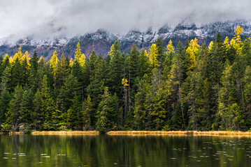 Autumn Pond In Glacier National Park