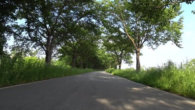 Drive on the cherry tree raod