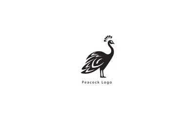 Foto op Canvas Peacock fly vector logo design © ab