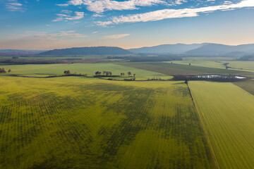 Green agricultural farmland fields in Willamette Valley, Oregon near Monmouth.  Aerial photography