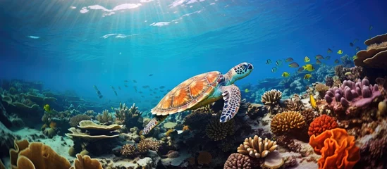 Rolgordijnen Thriving coral reef in Caribbean sea with sea turtle and tropical fish. © AkuAku