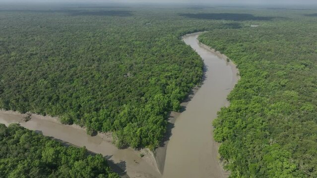Aerial tilt up footage of Sundarbans National Park, Bangladesh.