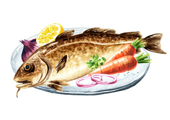 Fresh fish cod.  Hand drawn watercolor illustration,  isolated on white background