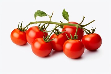 A bunch of ripe juicy red tomatoes on the vine isolated on white background