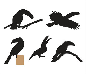 Free vector toucan bird silhouette set