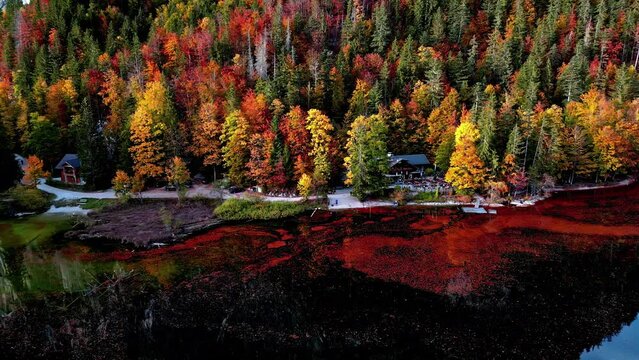 Epic aerial view of Autumn foliage in an Austrian town, Drone operator flying drone in picturesque autumn forest
