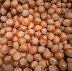Haselnuss auf dem Marktstand in der Winterzeit