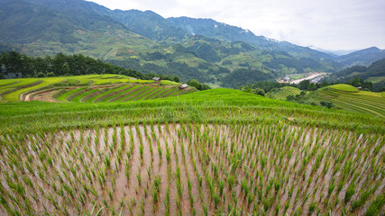 Irrigated rice  terrace field in the highlands