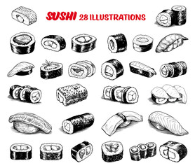 Collection of drawn sushi. Sketch illustration
