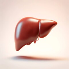 3D image of liver icon 