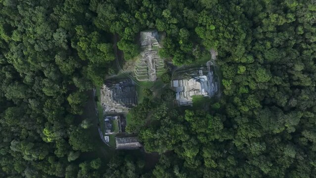 Top down view of North Acropolis maya ruins near Tikal at Guatemala, aerial