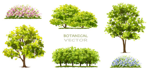 Vertor set of spring blossom tree,bloomimg plants side view for landscape elevation and section,eco environment concept design,watercolor illustration,colorful season