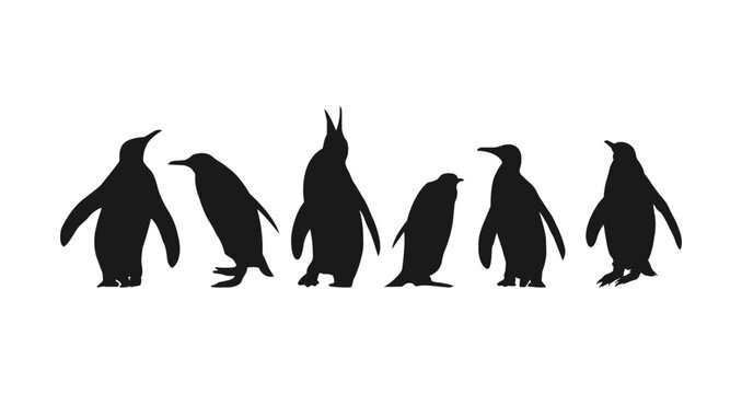 Set of Penguin Silhouette, Polar Animal. Vector Set of Silhouettes. Penguin silhouette set vector illustration. Penguin vector illustration - Set of penguin silhouettes on a white background.