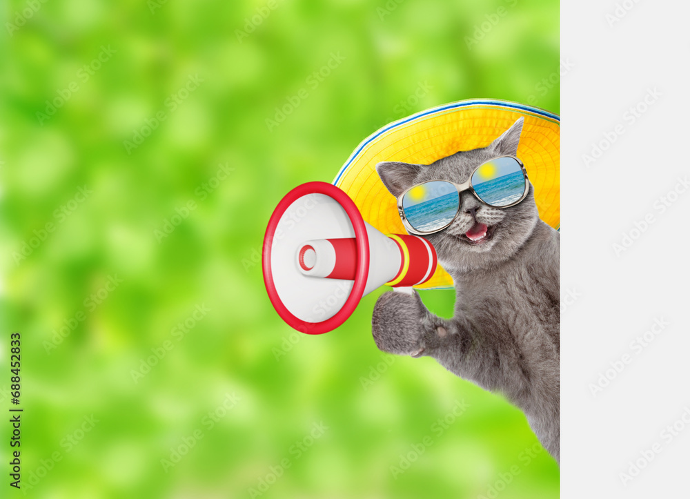 Poster happy cat wearing mirrored sunglasses and summer hat talks into megaphone and looks from behind empt