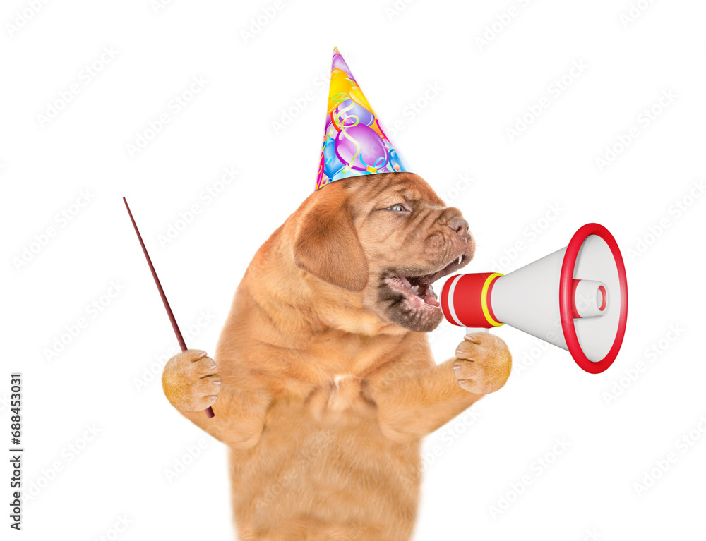 Aufkleber Funny puppy wearing party cap  screams into a megaphone and points away on empty space. isolated on white background