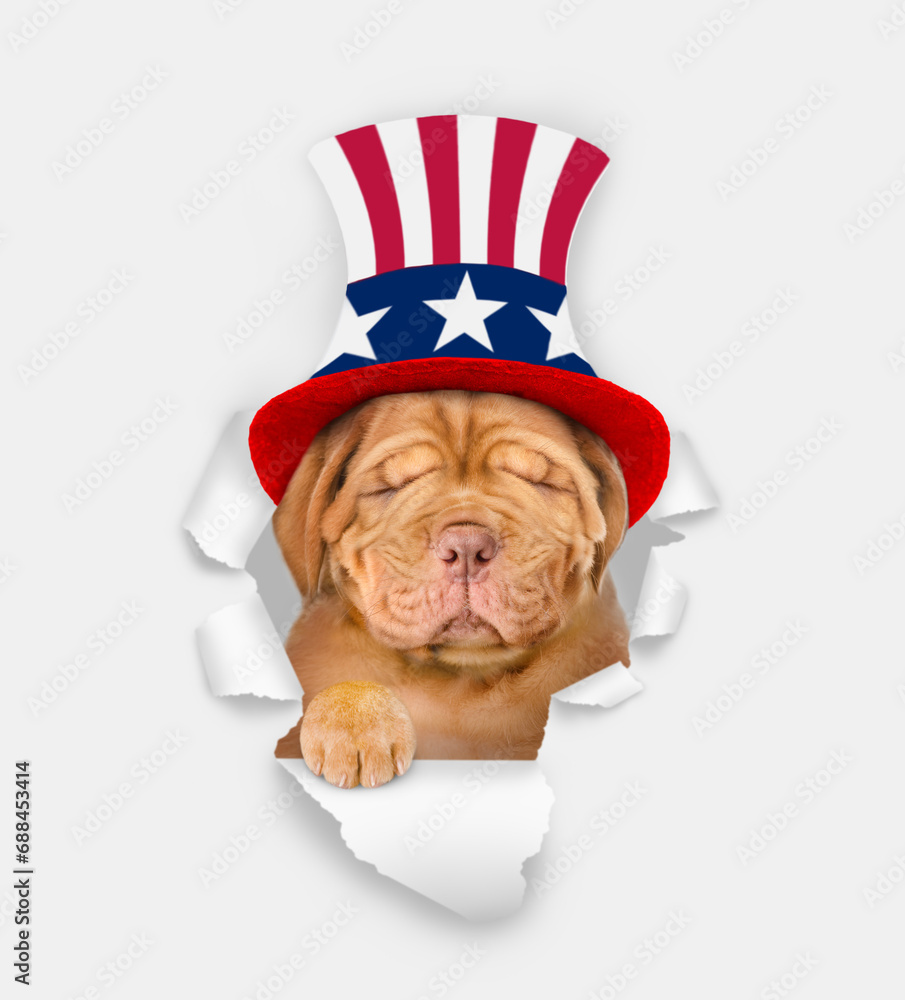 Poster unhappy mastiff puppy wearing like uncle sam looking through a hole in paper. isolated on white back