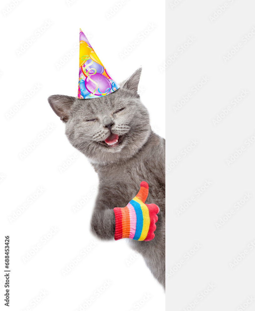 Poster happy cat wearing party cap look from behind empty white banner and shows thumbs up gesture. isolate