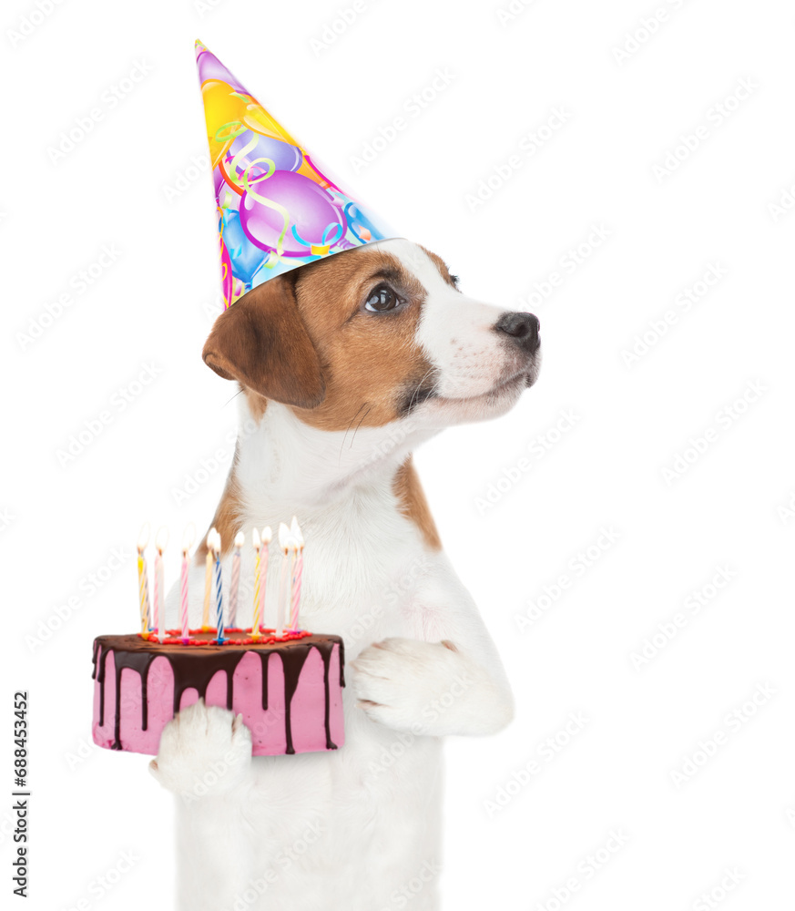 Poster jack russell terrier puppy wearing party cap holds cake with lots burning candles and looks away and