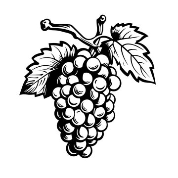 Grape Cluster Simple Logo Monochrome Design Style
