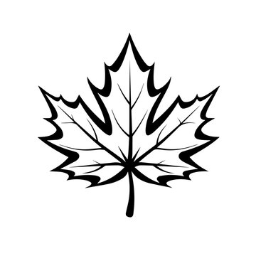 Maple Leaf Logo Monochrome Design Style