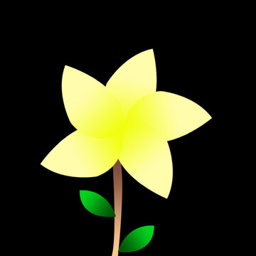 flower on black background