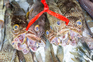 Colorful fish at a stand at a seafood market in Jeddah, Saudi Arabia.