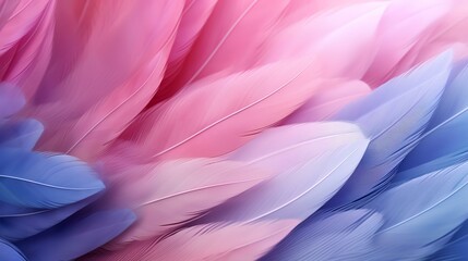 abstract background of multicolored feathers close-up, soft focus