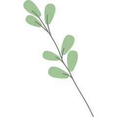 Aesthetic Leaf Element