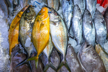 Colorful fish at a stand at a seafood market in Jeddah, Saudi Arabia.