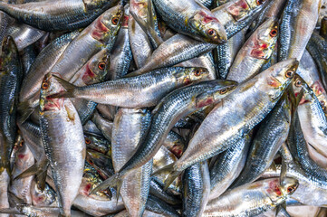 Colorful fish at a stand at a seafood market in Jeddah, Saudi Arabia.