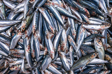 Colorful fish at a stand at a seafood market in Jeddah, Saudi Arabia.