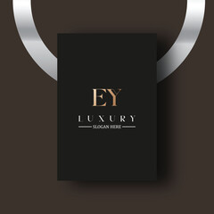 EY logo design vector image