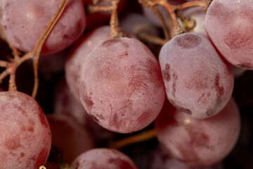 Fresh purple grapes on a white wooden background. Organic agricultural products. Delicious bunch of grapes. Close up