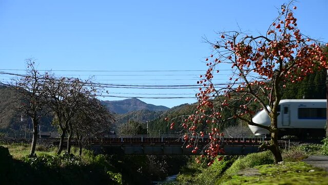 北陸新幹線敦賀延伸前の北陸本線を走る特急サンダーバード （北陸本線 南条 - 王子保, 2023年11月）