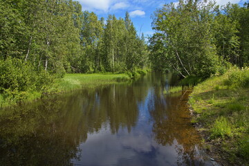 Fototapeta na wymiar Landscape in public park at the river Skellefteälven in Skelleftea, Sweden, Europe 