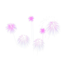 fireworks splash on transparent background