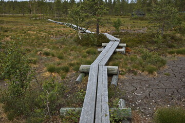 Board walk on the hiking track in Santa Claus Forest Nature Trail at Santa Claus Village, Rovaniemi, Finland, Europe
