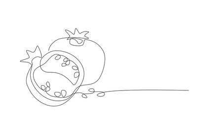 Continuous single line drawing of Pomegranate. One line drawing of fruit. Happy Shana Tova Fruit contour with editable stroke. Line art sketch. Abstract minimalistic style. Design vector element