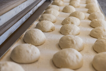 Fototapeta na wymiar Ball dough on the production line