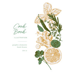 Hand drawn illustrations of spices and culinary herbs. Graphic elements for cook book design, restaurant menu and recipe sheets. Botanical and culinary illustration