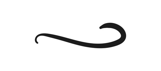 Swoosh and swoops underline typography tail shape. Brush drawn thick curved smear. Hand drawn curly swish, swash, squiggle, twiddle. Vector calligraphy doodle swirl. Vector Underlined icon.