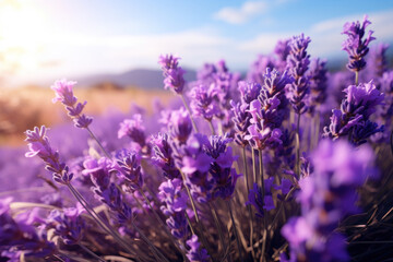 Obraz premium The airy gusts in a lavender field, enveloping the surroundings in the soothing and aromatic essence of lavender. Concept of lavender tranquility. Generative Ai.