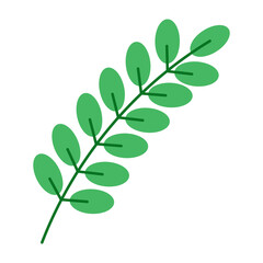 green leaves isolated on white background