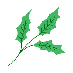 Christmas holly leaf with green leaves