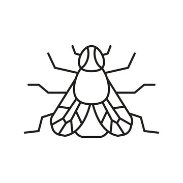 Fly insect icon design. isolated on white background. vector illustration