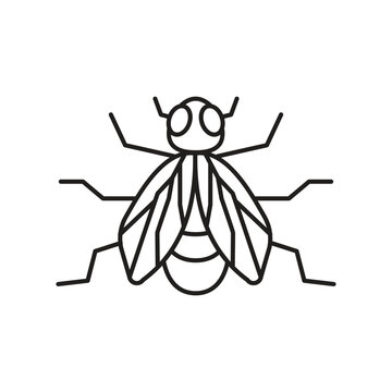 Fly insect icon design. isolated on white background. vector illustration