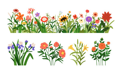 Spring and summer flowers set. Floral border, field and meadow plant, simple blossomed blooms, wildflowers. Natural botanical decoration. Colored flat vector illustrations isolated on white background - obrazy, fototapety, plakaty