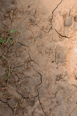 Closeup view of dry cracked soil