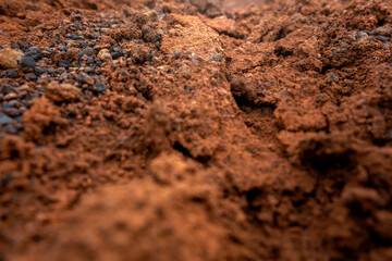 Closeup view of dry cracked soil